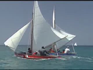 صور Activie leisure سياحة