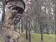 Antakalnis Cemetery (立陶宛)