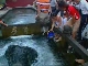Baimai Springs