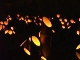 Bamboo Lights Festival (Japan)