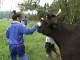Зеленый туризм в Оите (Япония)