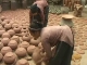 Hanoi ceramic (越南)