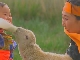 Life of Nomadic Mongols (China)