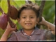 Maya peoples (伯利兹)