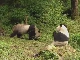 Tai Bai Nature Reserve (China)