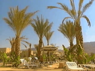 صور الأردن بَلَد صور الأردن بَلَد