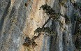 Samaria-gorge صور