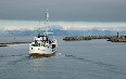 Whale Safari, Andenes Images
