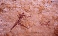Djanet Images