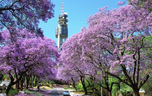 The capital of South Africa, Pretoria is a city of contrasts – there are a lot of skyscrapers, cultural attractions and slums