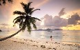 Seychelles, nature Images
