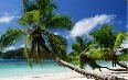 Seychelles, nature Images