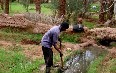 تاغيث صور