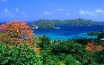 Tobago, nature 写真