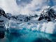 Antarctic Voyage on board mv Plancius