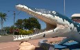 Australia's Dinosaur Trail صور