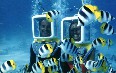 Bora Bora Aqua Safari 写真