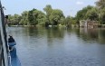 Delta of the Dnieper 图片
