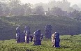 Avebury 图片