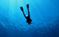 Hainan Diving  图片