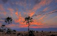 Lake Manyara National Park 写真