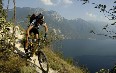Mountain Biking in New South Wales 图片