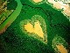 New Caledonia (France)