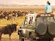 Safari in the Ngorongoro (Tanzania)