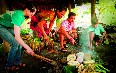 Samoan Culture 写真