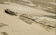 Skeleton Coast 图片