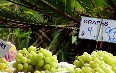Sunshine Coast markets 写真