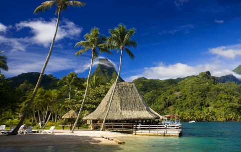 Tahiti Archipelago and especially the Society Islands is one of the most desired holiday destinations for new-married couples, divers and SPA lovers. 