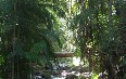 Thunderbird Park 图片