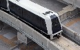 Transport in Miami 图片