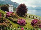 Villa Melzi  (إيطاليا)