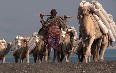 Djibouti Images
